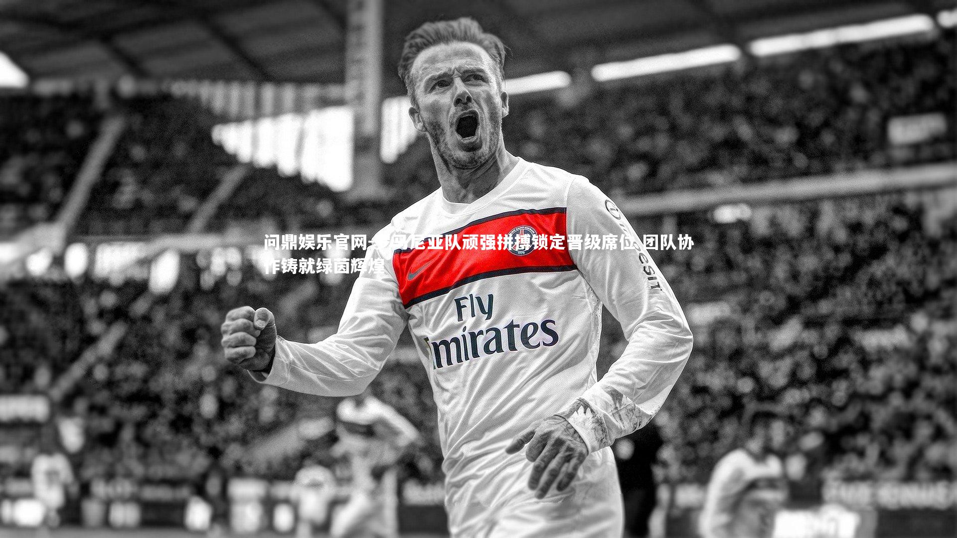 问鼎娱乐官网-罗马尼亚队顽强拼搏锁定晋级席位 团队协作铸就绿茵辉煌