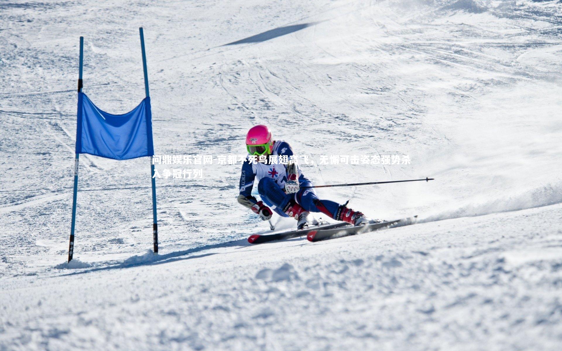 京都不死鸟展翅高飞，无懈可击姿态强势杀入争冠行列